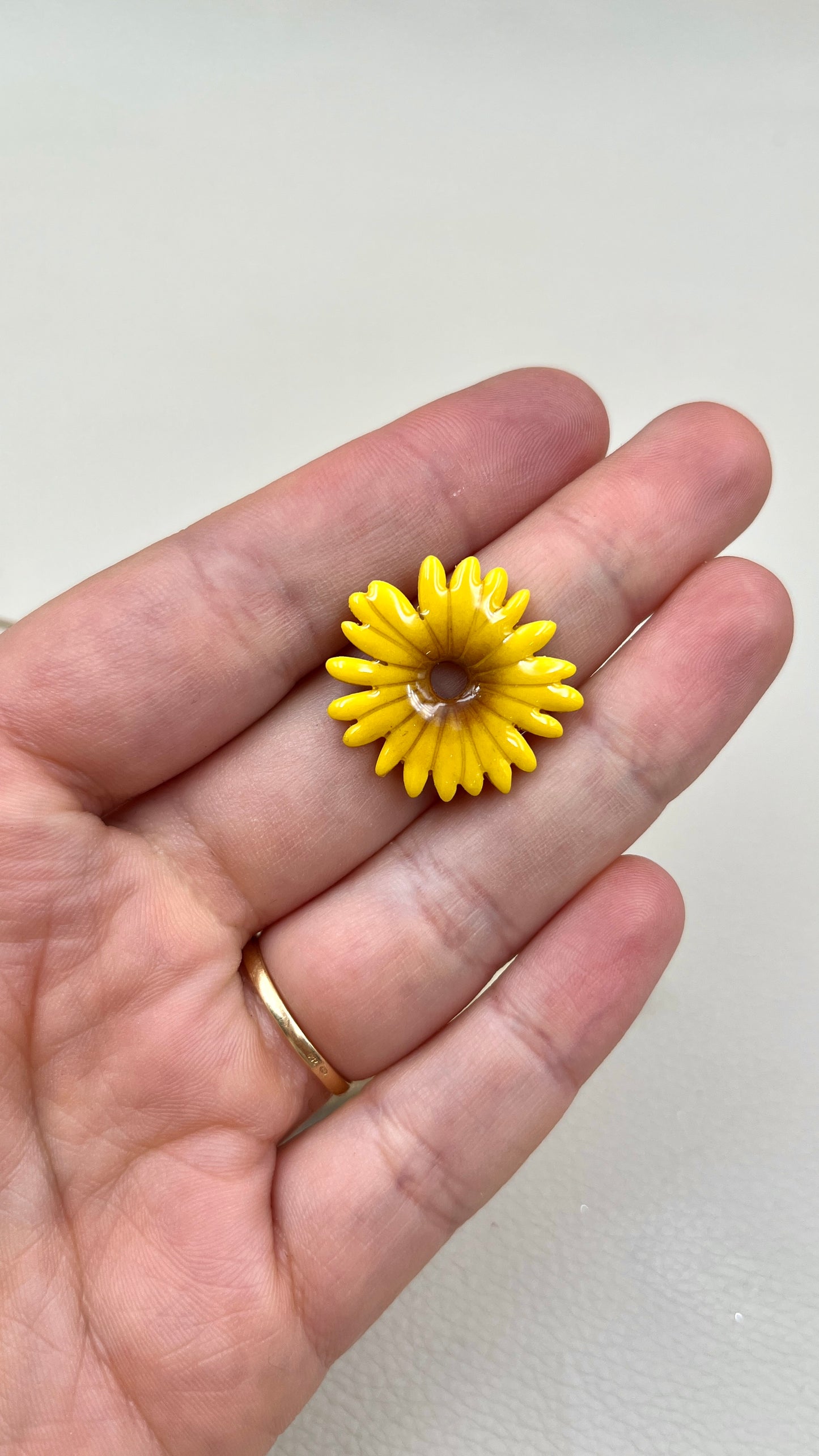Pampilles Marguerite jaunes