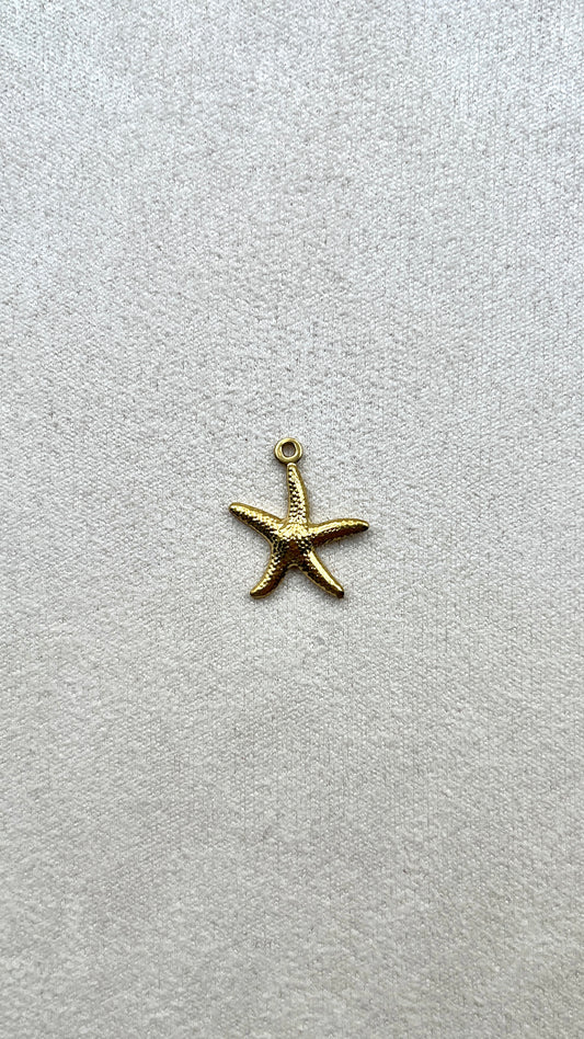 Charm étoile de mer