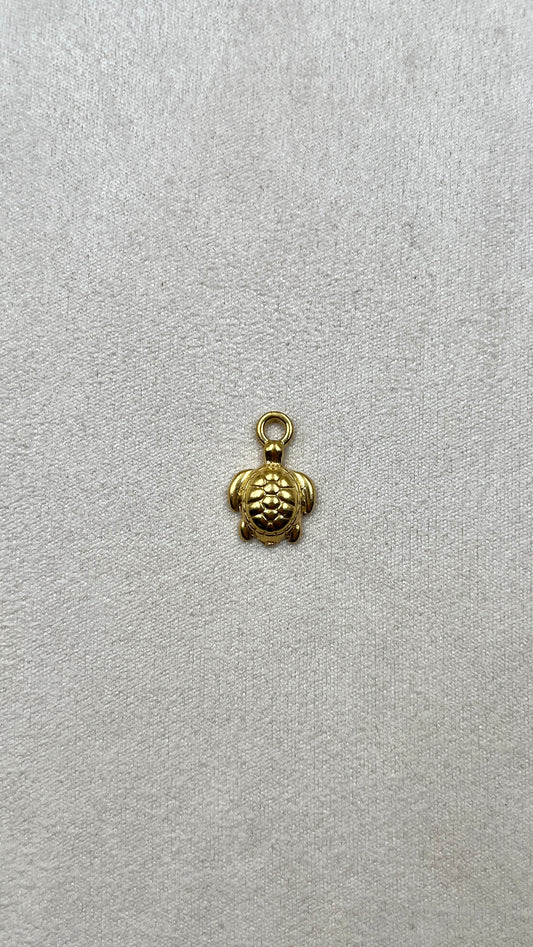 Charm tortue