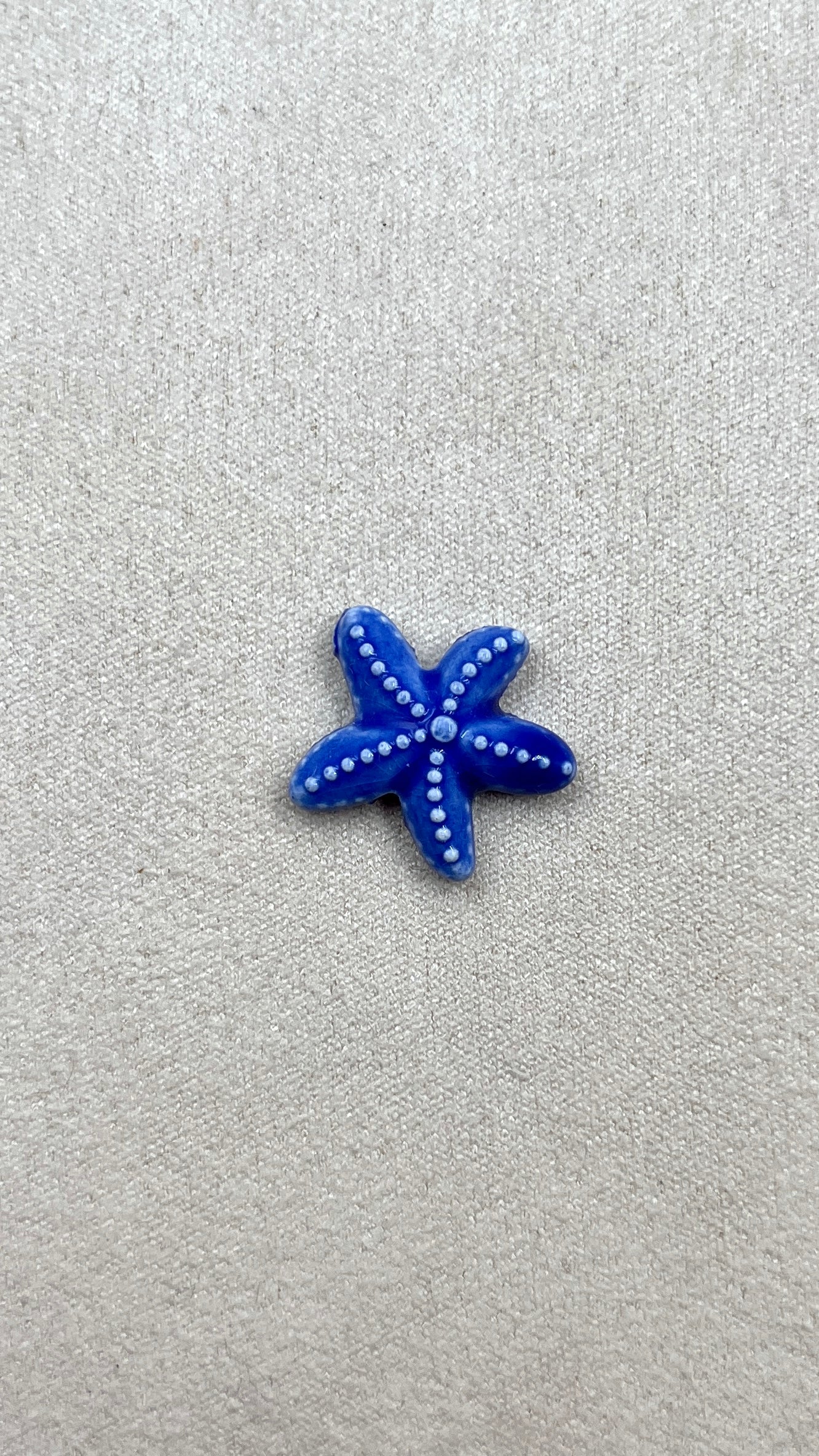 Charm Étoile de mer bleue