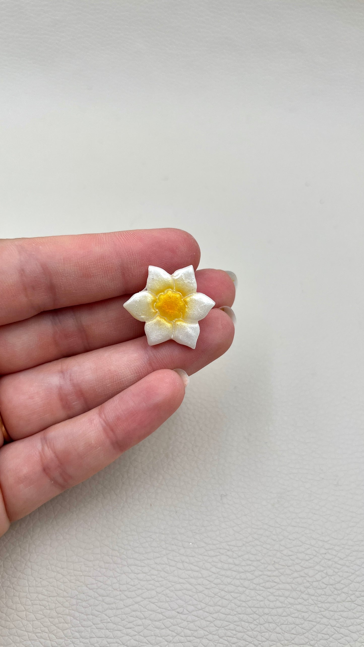 Clips Narcisse