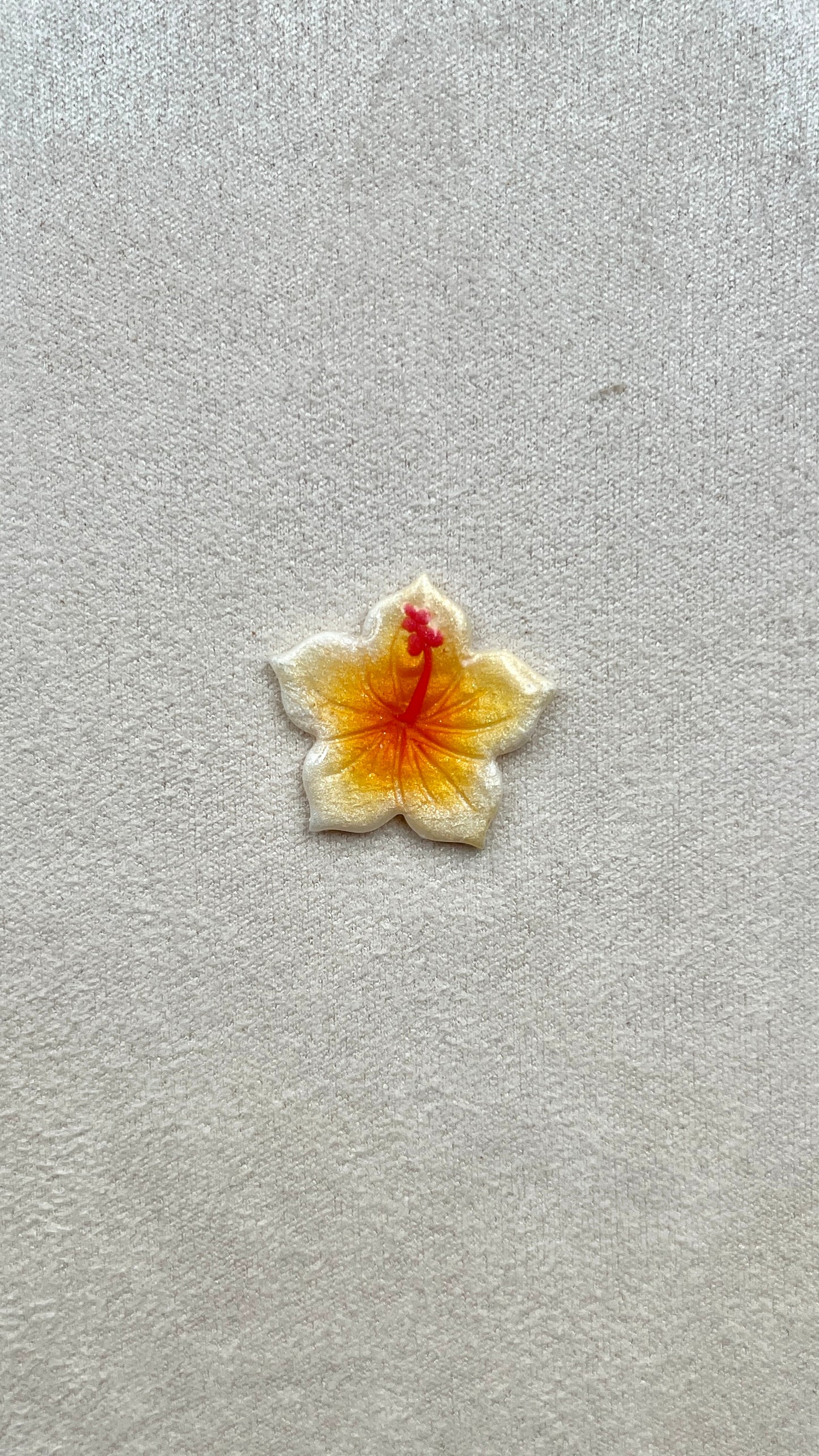 Charm hibiscus