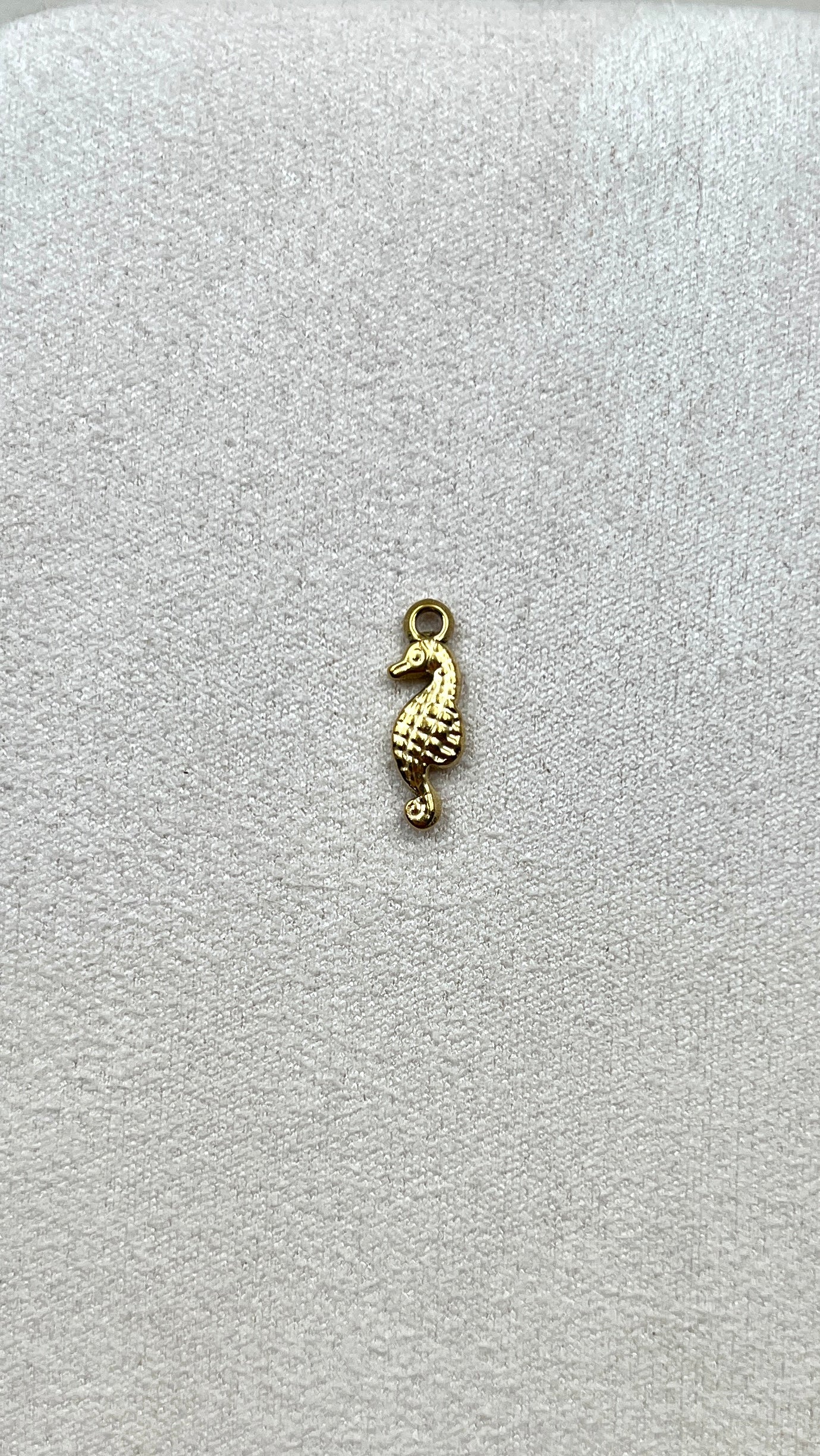 Charm hippocampe