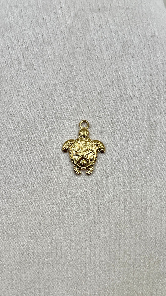 Charm tortue