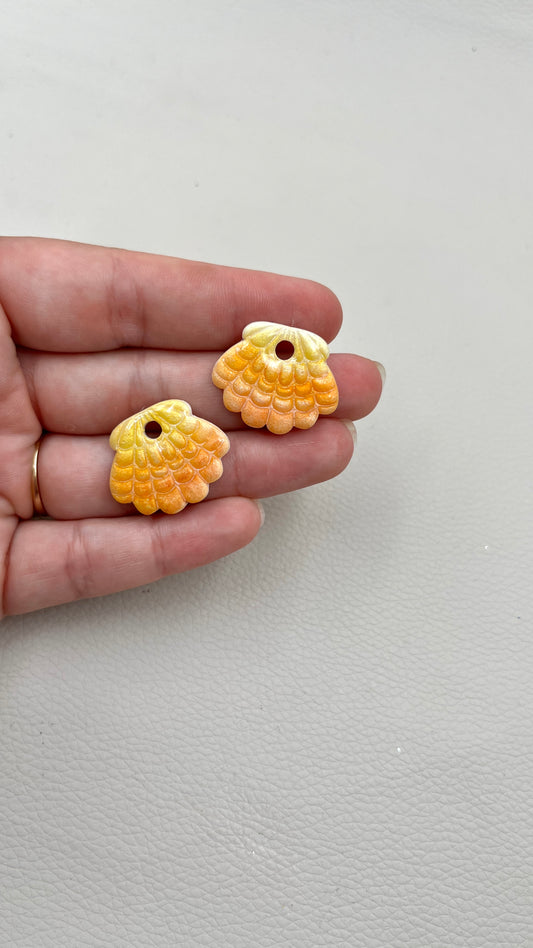 Pampilles coquillage