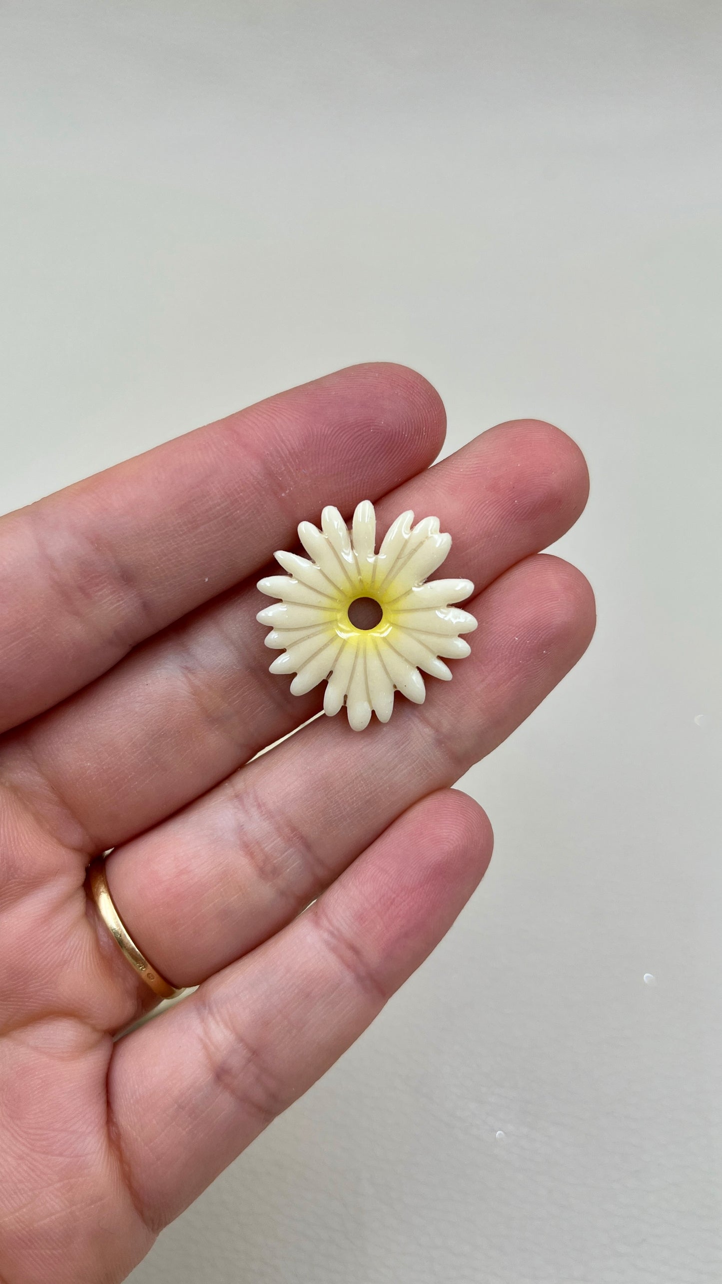 Pampilles Marguerite blanches