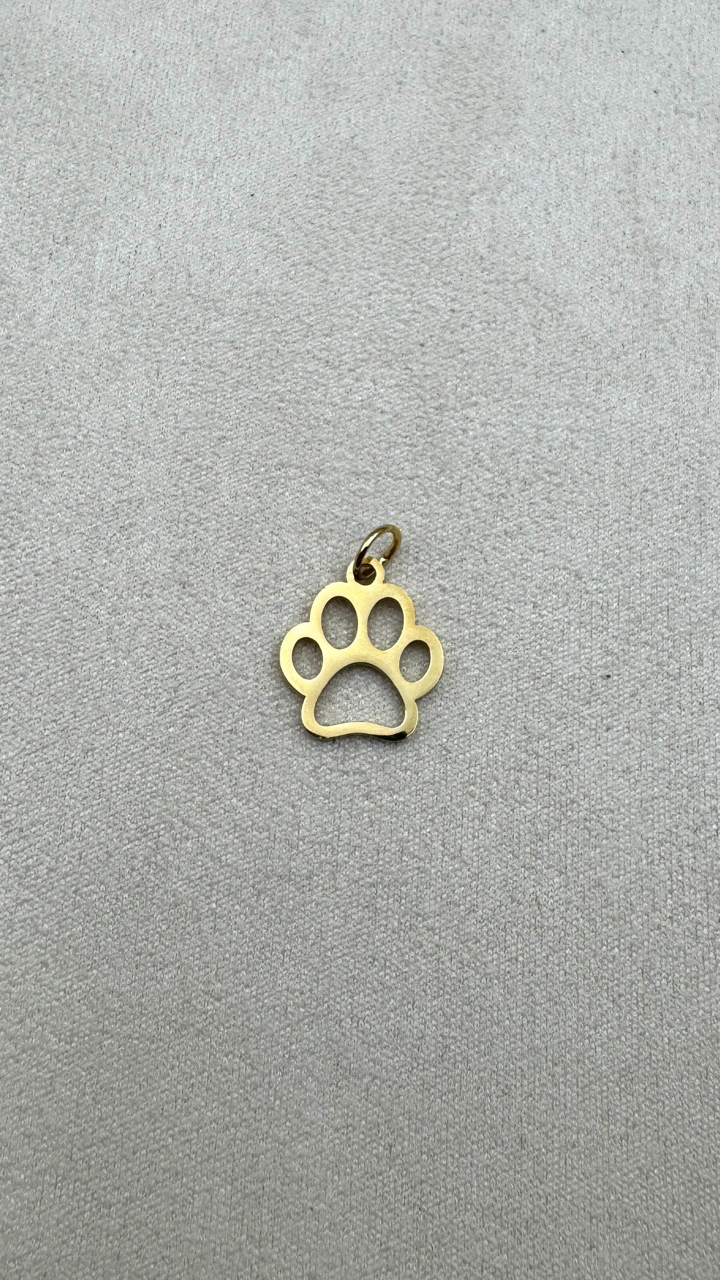 Charm patte de chien