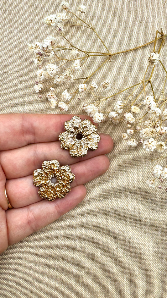 Pampilles Sakura champagne