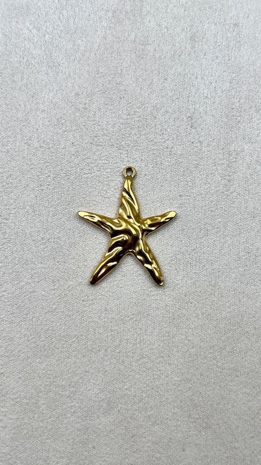 Charm étoile de mer