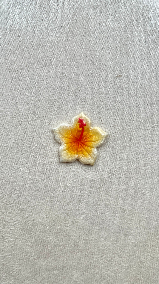 Charm hibiscus