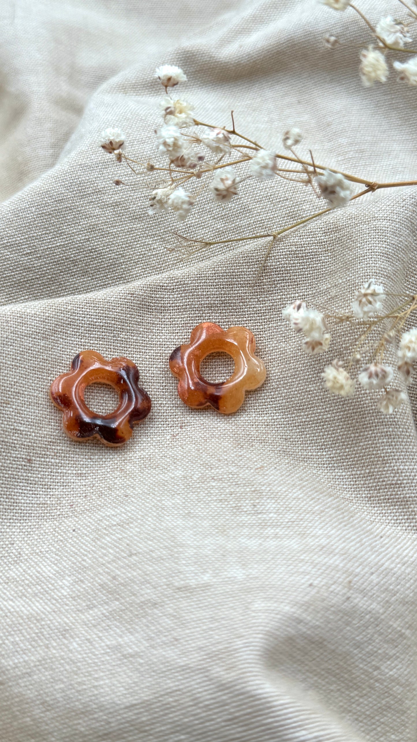 Pampilles S tortoise