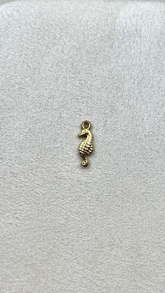 Charm hippocampe