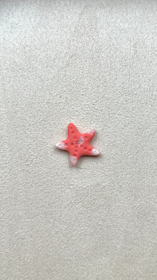 Charm étoilé de mer corail