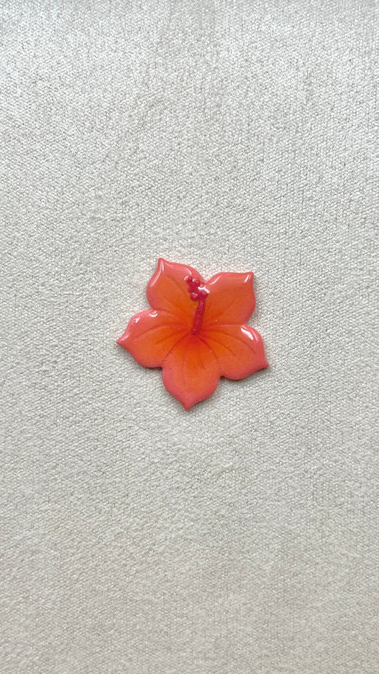 Charm hibiscus